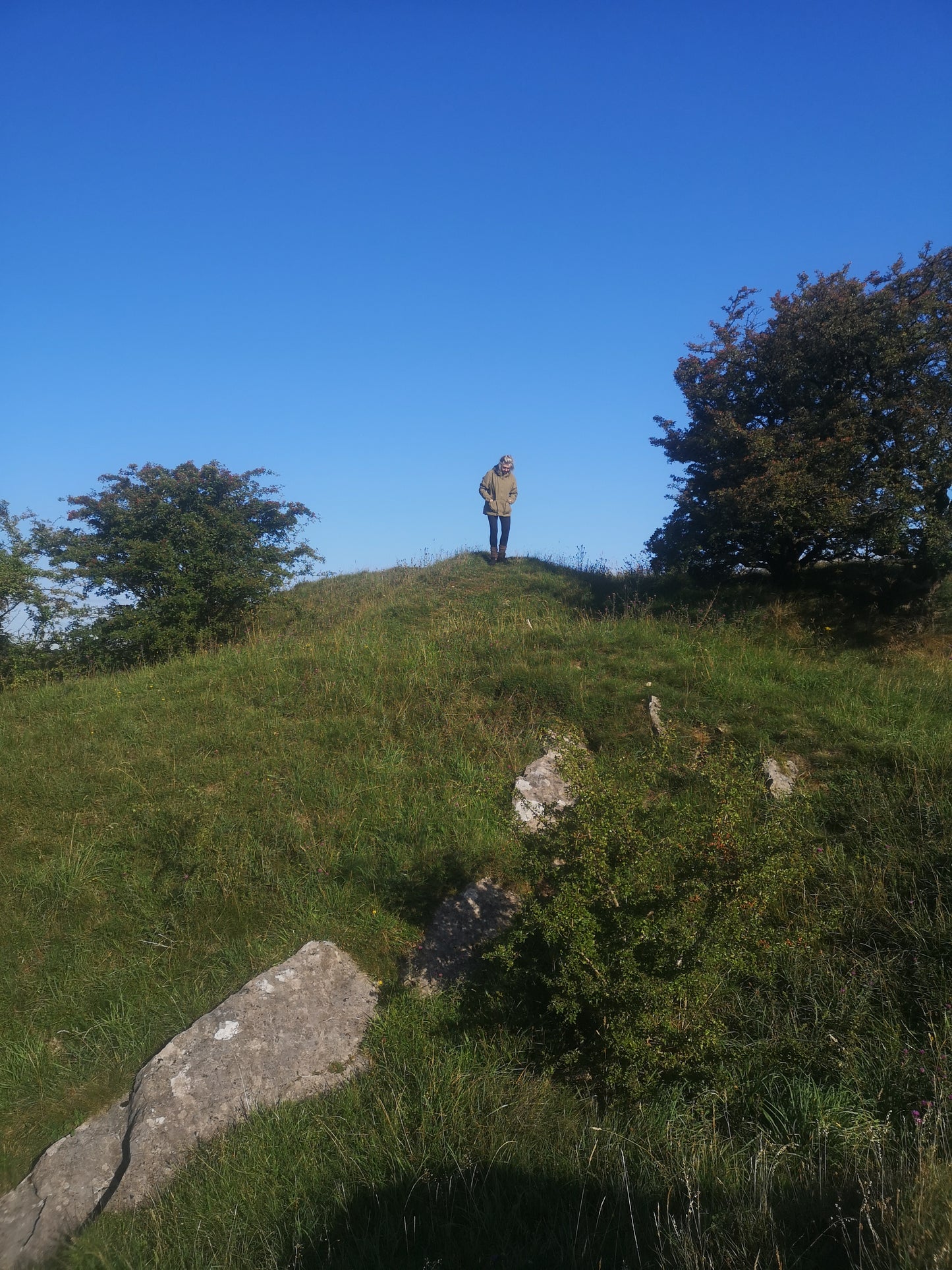 Activation Alignment - Portals - Wood Panel with Gold Leaf