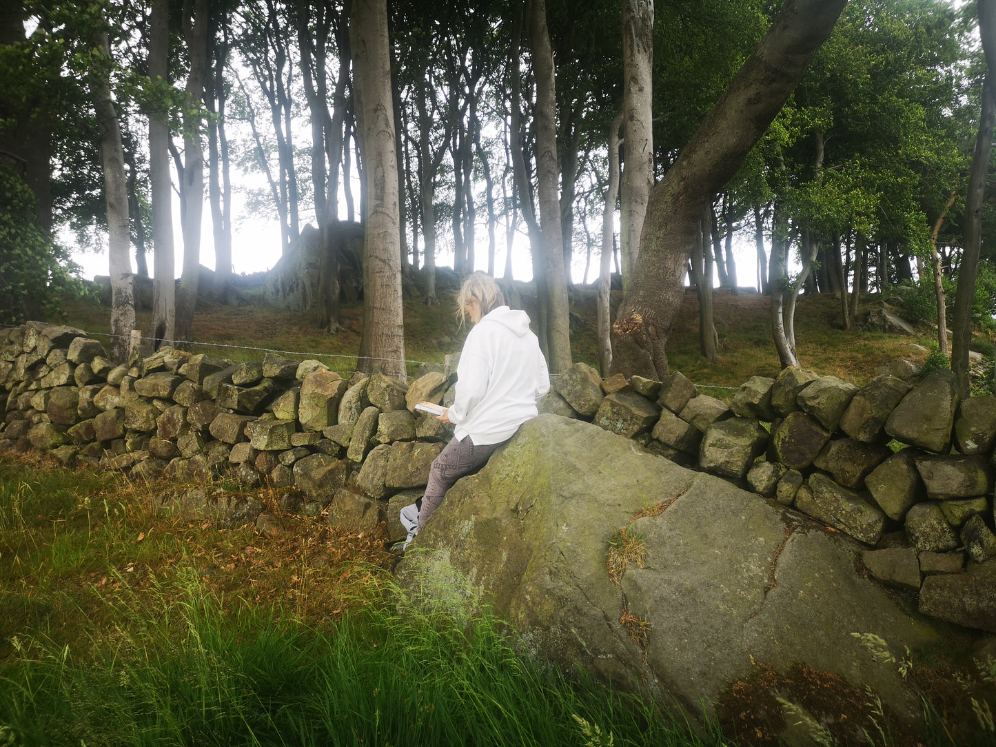 Activation Alignment - Knowing - Wood Panel with Gold Leaf